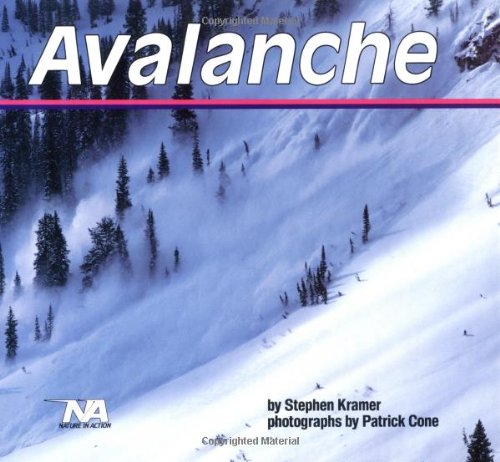 Imagen de archivo de Avalanche a la venta por Better World Books