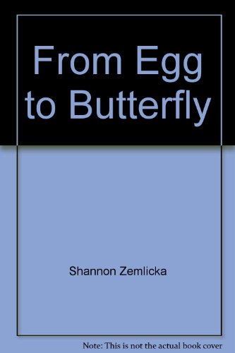 Beispielbild fr From Egg to Butterfly zum Verkauf von Wonder Book