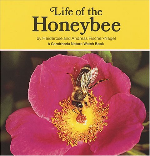 Beispielbild fr Life of the Honeybee (Carolrhoda Nature Watch Book) zum Verkauf von HPB-Diamond