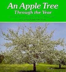 Stock image for An Apple Tree Through the Year for sale by Adventures Underground