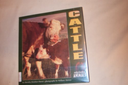 Stock image for Cattle (Understanding Animals) for sale by Blue Vase Books