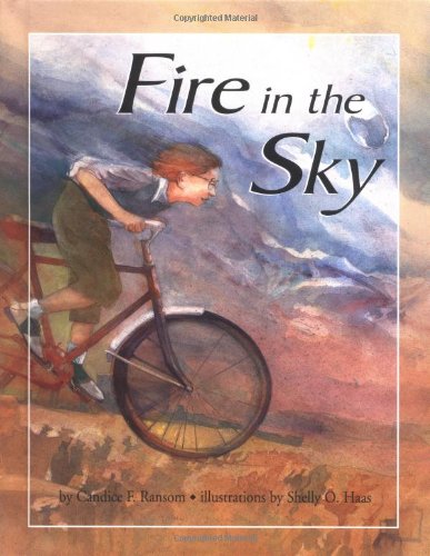 Imagen de archivo de Fire In The Sky a la venta por Library House Internet Sales