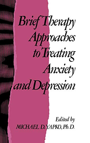 Imagen de archivo de Brief Therapy Approaches to Treating Anxiety and Depression a la venta por Chiron Media