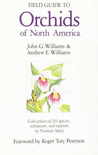 Beispielbild fr Field Guide to Orchids of North America zum Verkauf von Better World Books
