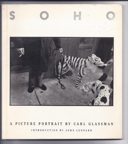 9780876635667: Soho: A Picture Portrait