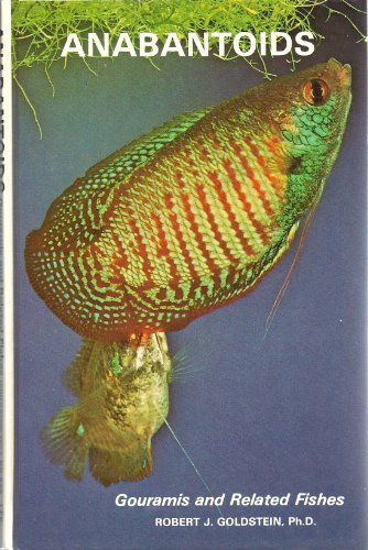 anabantoids gouramis and related fishes