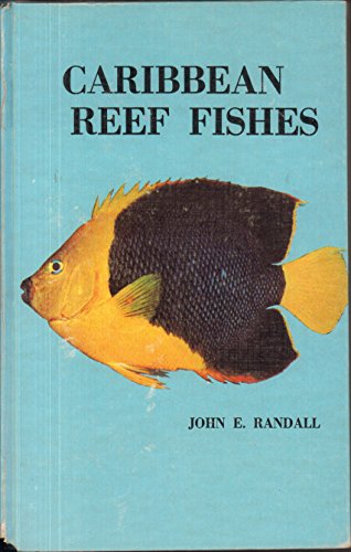 Beispielbild fr Caribbean reef fishes zum Verkauf von Better World Books