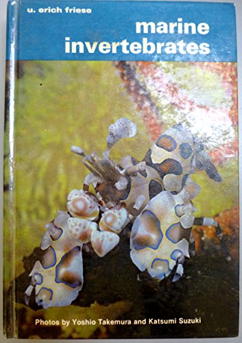 Stock image for Marine Invertebrates for sale by Bluff Books