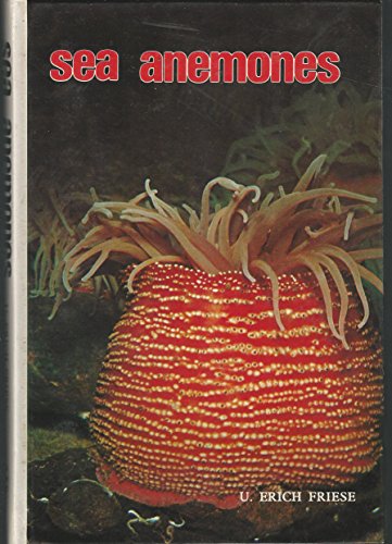 Beispielbild fr Sea Anemones zum Verkauf von Wonder Book