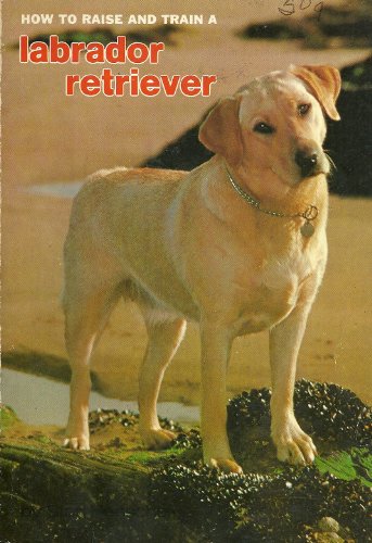 Stock image for How to Raise and Train a Labrador Retriever for sale by Shadetree Rare Books