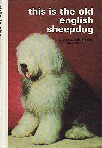 This is the Old English Sheepdog
