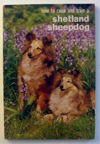 Imagen de archivo de Shetland Sheepdog (How to Raise & Train) a la venta por HPB-Emerald