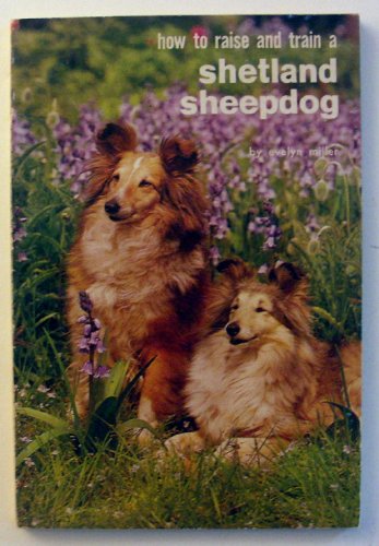 Stock image for Shetland Sheepdog (How to Raise & Train) for sale by HPB-Emerald