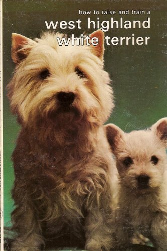 How to Raise and Train a West Highland White Terrier