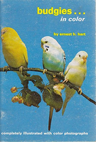 Stock image for Budgies in Colour for sale by arcfoundationthriftstore