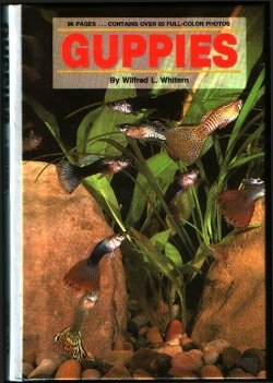 Imagen de archivo de Guppies a la venta por Better World Books