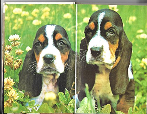 Stock image for Basset Hounds for sale by Hastings of Coral Springs