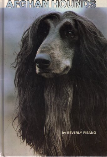 Stock image for Afghan Hounds for sale by Thomas F. Pesce'