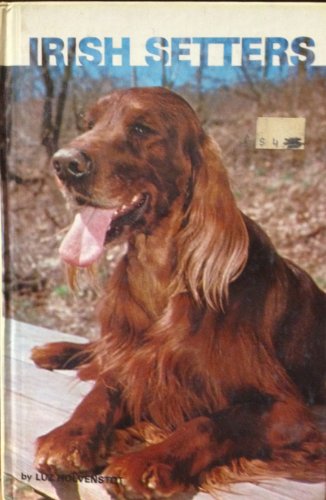 IRISH SETTERS