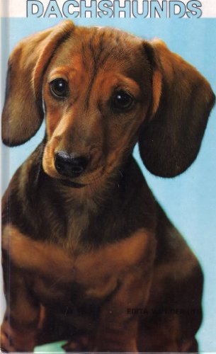 Imagen de archivo de Dachshunds a la venta por Better World Books