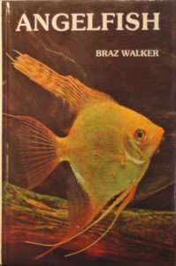 Beispielbild fr Angelfish zum Verkauf von Wonder Book