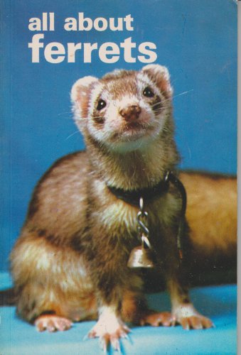 Imagen de archivo de All About Ferrets a la venta por Wonder Book