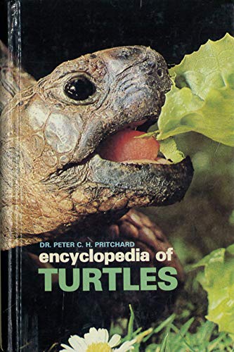 Beispielbild fr Encyclopedia of Turtles zum Verkauf von BooksRun