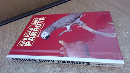 Beispielbild fr African Grey Parrots zum Verkauf von Wonder Book