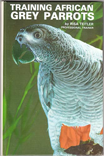 Stock image for Training African Grey Parrots for sale by Wonder Book