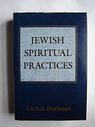 Stock image for Jewish Spiritual Practices for sale by R. Rivers Books