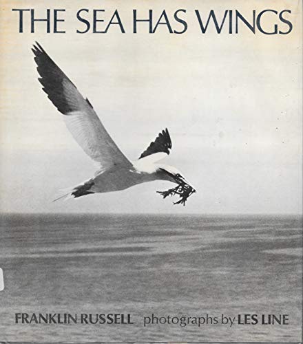 THE SEA HAS WINGS