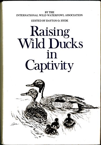 Raising Wild Ducks in Captivity