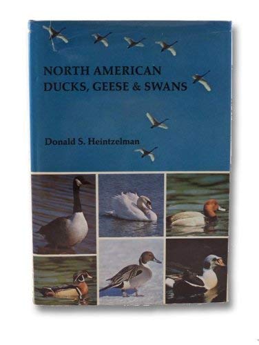 NORTH AMERICAN DUCKS, GEESE & SWANS