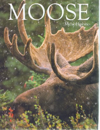 Beispielbild fr Moose (English and Japanese Edition) zum Verkauf von Ergodebooks