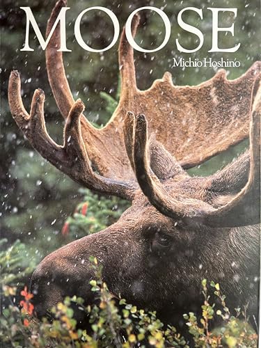 Stock image for Moose (English and Japanese Edition) for sale by Ergodebooks
