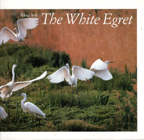 THE WHITE EGRET