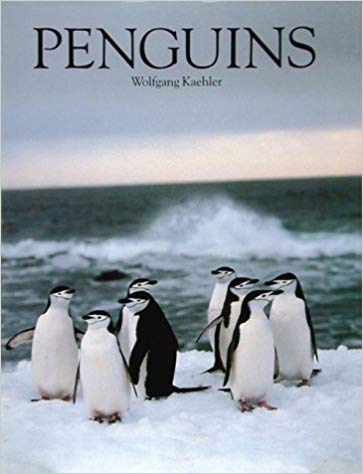 Beispielbild fr Penguins zum Verkauf von Wonder Book