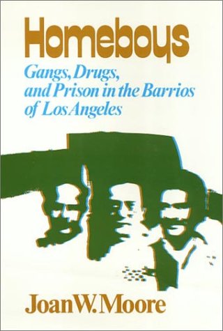 Homeboys: Gangs, Drugs, and the Prison in the Barrios of Los Angeles