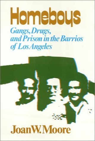 Stock image for Homeboys: Gangs, Drugs, and Prison in the Barrios of Los Angeles for sale by Housing Works Online Bookstore