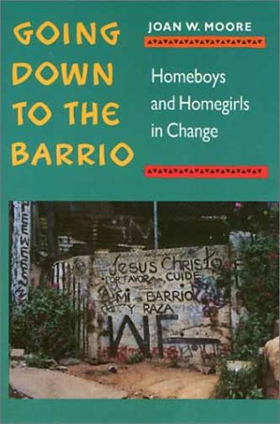 Going Down to the Barrio: Homeboys and Homegirls in Change - Joan W. Moore