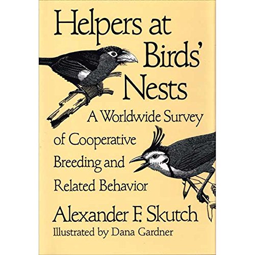 Stock image for Helpers at Birds' Nests: A Worldwide Survey of Cooperative Breeding and Related Behavior for sale by Lowry's Books