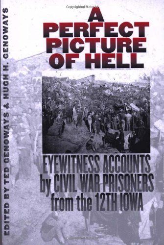 Stock image for A Perfect Picture of Hell: Eyewitness Accounts by Civil War Prisoners from the 12th Iowa for sale by Jay W. Nelson, Bookseller, IOBA