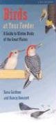 Imagen de archivo de Birds at Your Feeder: A Guide to Winter Birds of the Great Plains a la venta por N. Fagin Books
