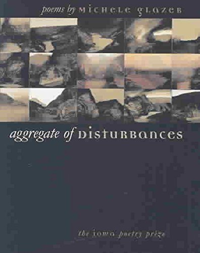 9780877458784: Aggregate of Disturbances: Poems: Poems by Michele Glazer
