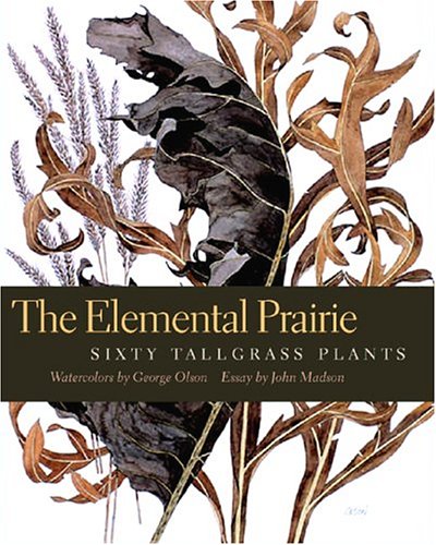 Elemental Prairie: Sixty Tallgrass Plants