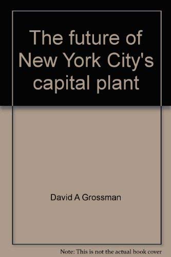 Stock image for The Future of New York City's Capital Plant (America's Urban Capital Stock Ser., Vol. 1) for sale by Top Notch Books