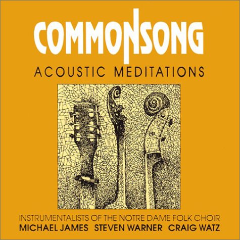 Beispielbild fr Common Song: Acoustic Meditations zum Verkauf von Goodbookscafe