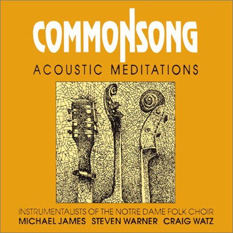 Imagen de archivo de Common Song: Acoustic Meditations a la venta por Goodbookscafe