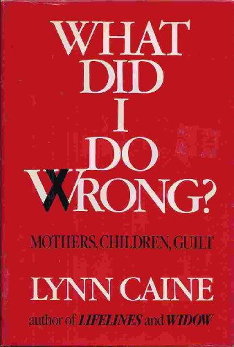 Beispielbild fr What Did I Do Wrong?: Mothers, Children, Guilt zum Verkauf von Top Notch Books