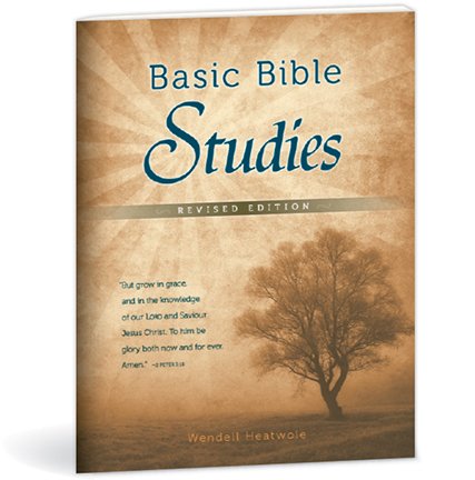 Imagen de archivo de Bible Studies for New Believers a la venta por The Happy Book Stack